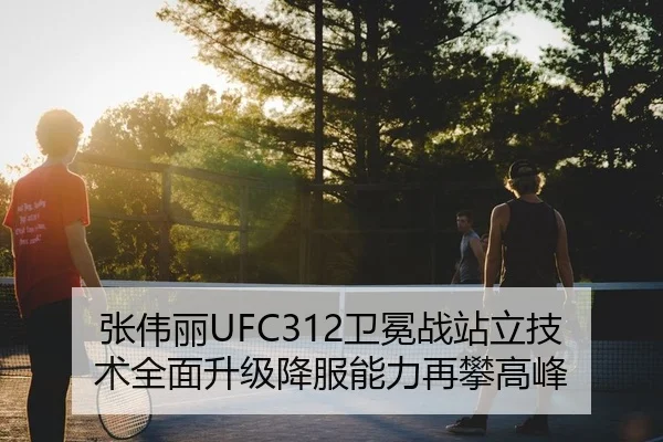 张伟丽UFC312卫冕战站立技术全面升级降服能力再攀高峰
